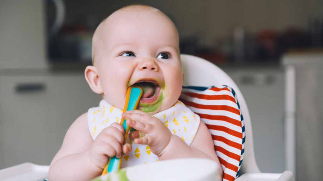 Why Your Baby’s First Foods Matter: The Role of Clean Ingredients