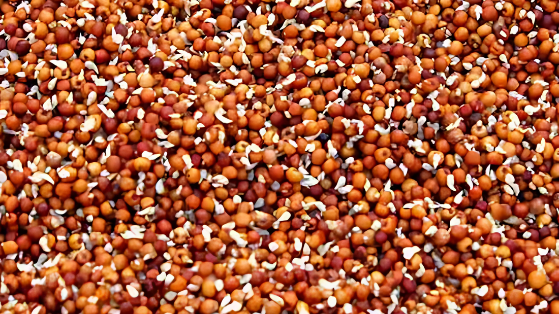The Science Behind Sprouted Grains: Why They’re Perfect for Your Kids